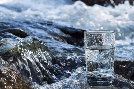 10 Fun Facts About Water You Probably Didn’t Know
