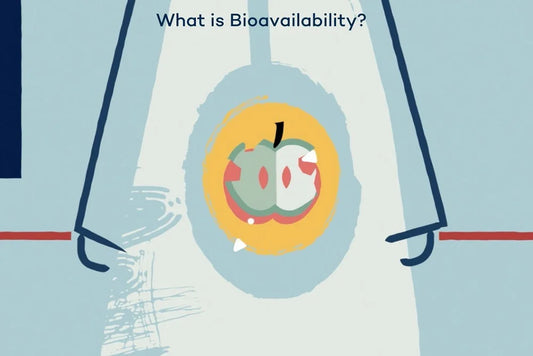 What Is Bioavailability in Hydration and Why It Matters
